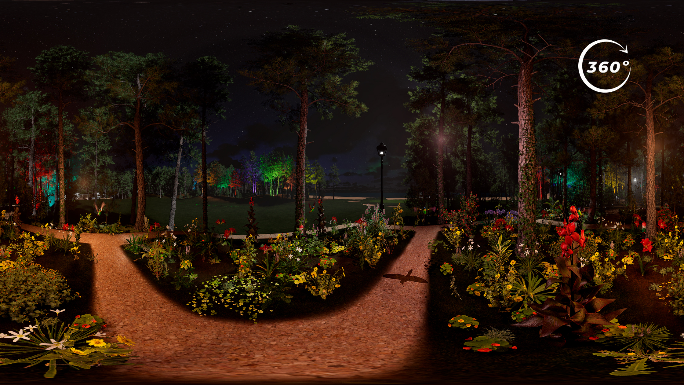 Video experiencia 360